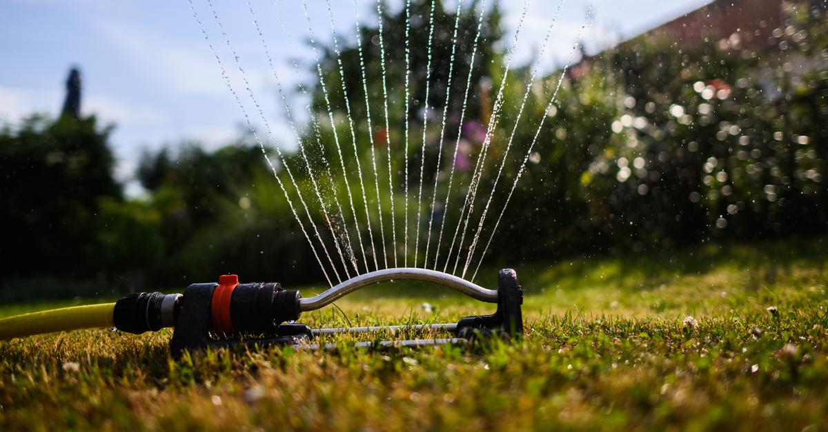 Regeln für den Sommer Den Rasen richtig bewässern
